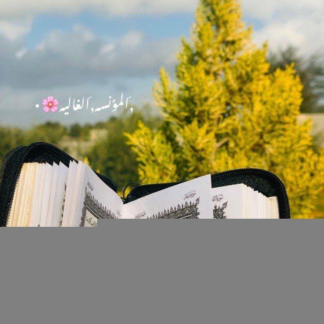 المؤنسـه الـﻏـاليـه🌸"•