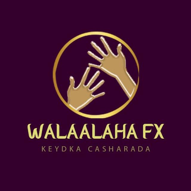 Keydka_casharada walaalaha fx