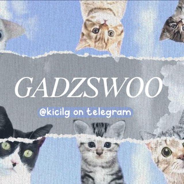 GADZSWOO — REST