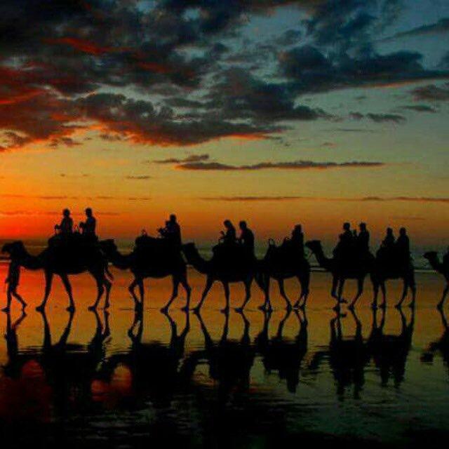 ابوذيات