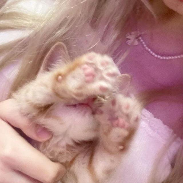 94🐾