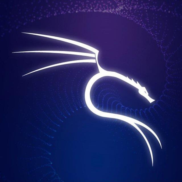Kali Linux Arabic