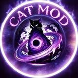 CAT 反馈频道