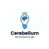 Cerebellum Academy Notes