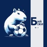 Бий-біжи