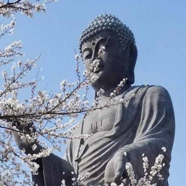 Kaidou Japanese Language Study