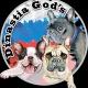 Щенки французского бульдога Dinastia God’s kennel