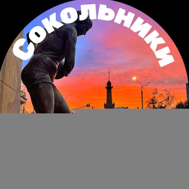 Сокольники Соседи