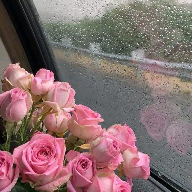 ⁽♔₎┋آحٍآدِيث مترآڪمة 🥀🍂