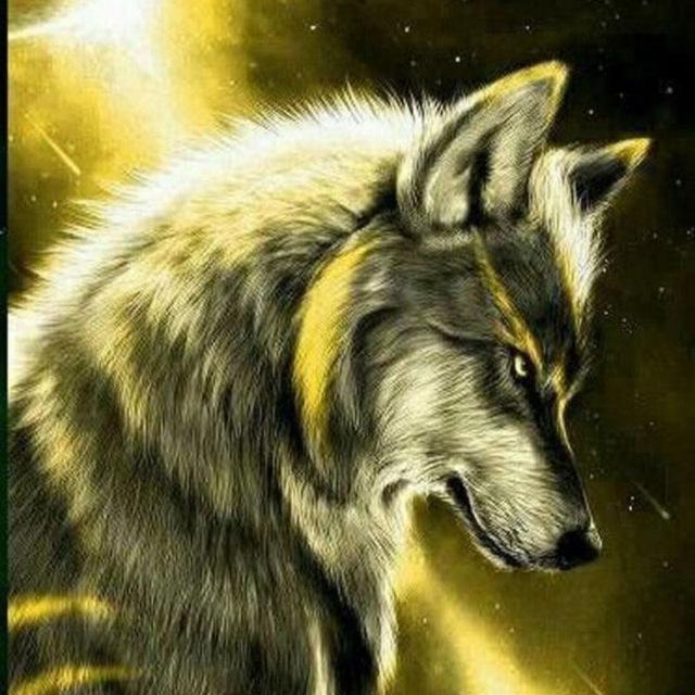 New wolf