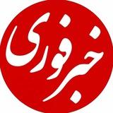 خبر فوری