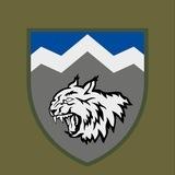 108 ОГШБ.
