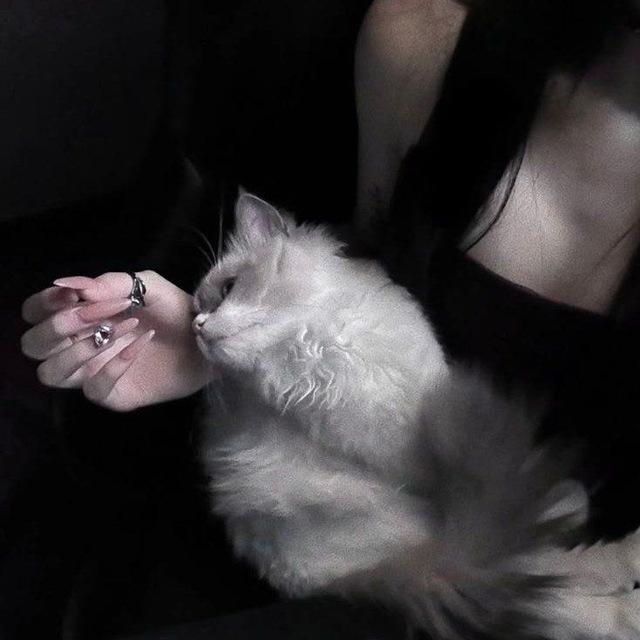 ялоп