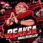 REAKSA RESELLER