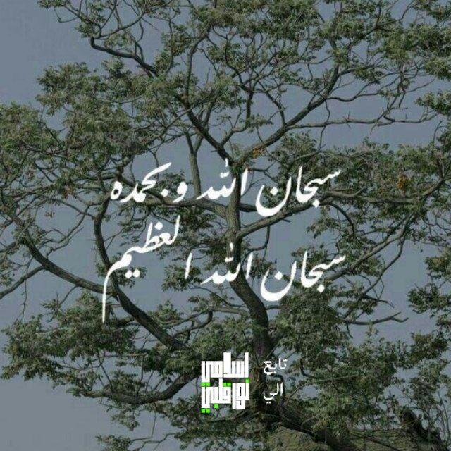 منبه التسبيح