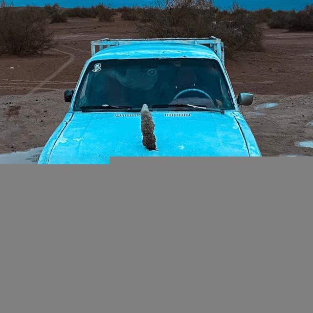 مطلق المناجعه