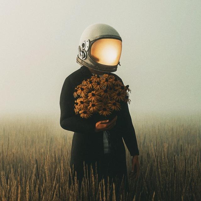 Wallpapers HD