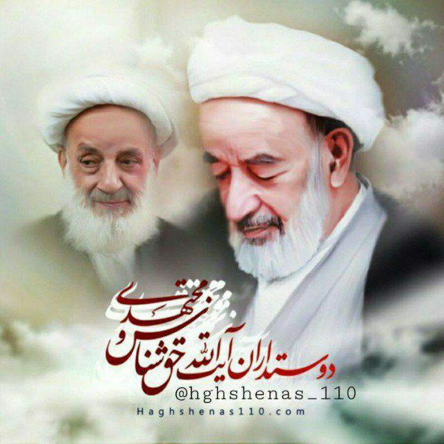 دوستداران آیت الله حق شناس و مجتهدی ره