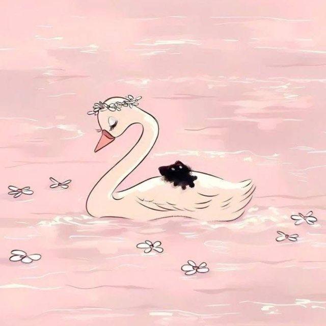 Angel 🎀