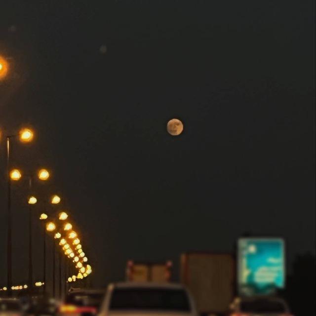 بکر