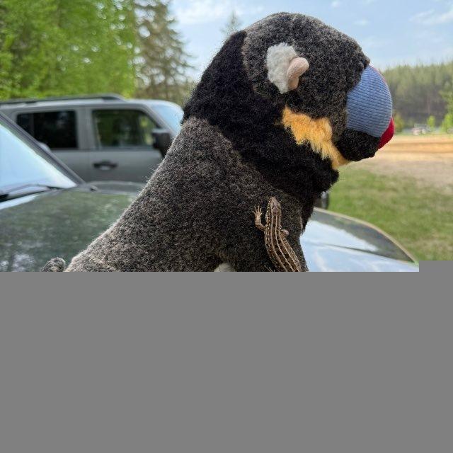 Влюбленная в природу