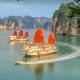 Vietnam Teens & Adults Wholesales