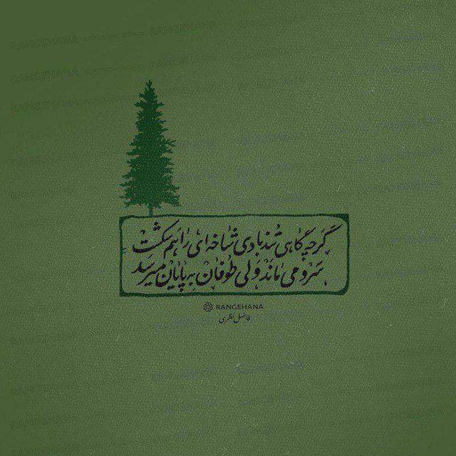 سوایر