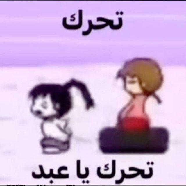 مكثف يزن عقرباوي