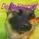 DeltaXscripts||скрипты