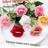 💦™₇₂На все случаи жизни...🎆