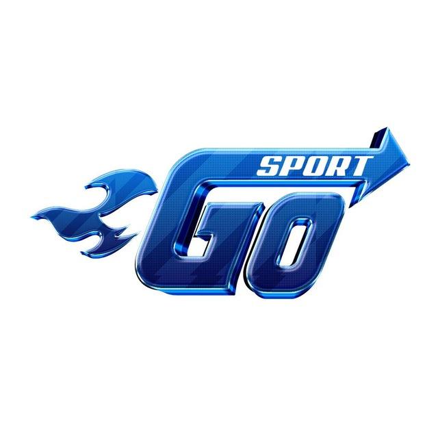 GOSPORT 羽毛球 LIVE CH1