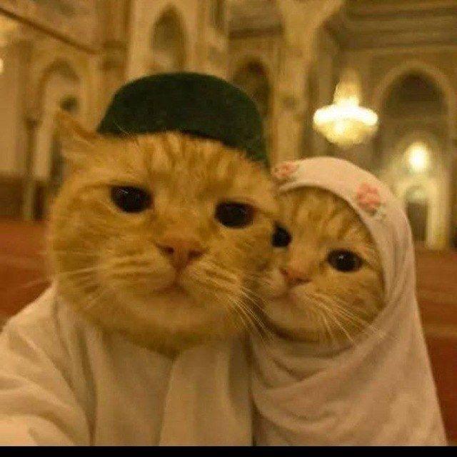 لعيونs