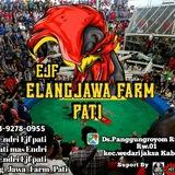 Elang Jawa Farm Pati 2026