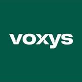 Работа в VOXYS