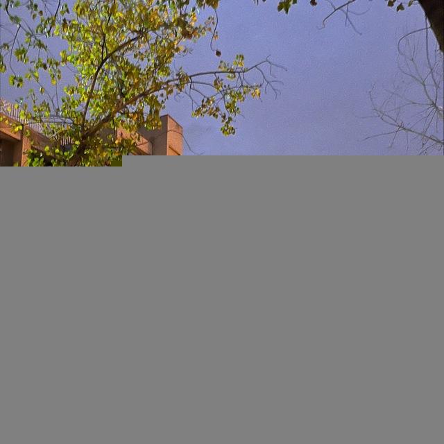 تحصیلات تکمیلی دانشکده ریاضی و علوم کامپیوتر