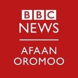 BBC AFAAN OROMOO