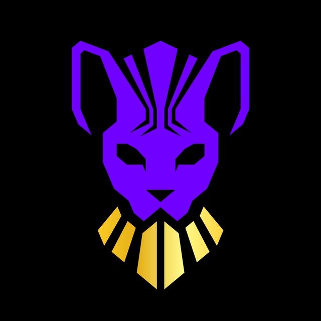 Sphynx Labs Announcement
