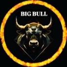 Bigbull Official Calls🎱