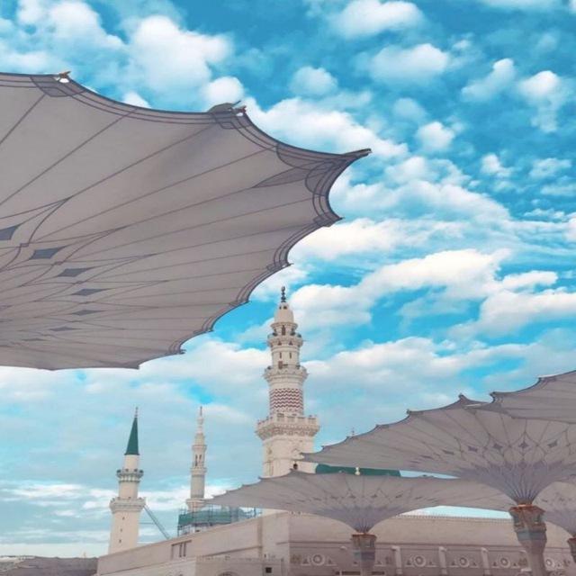 عامر بهجت (النتاج)