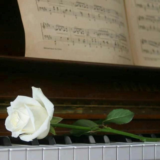 آوای موسیقی
