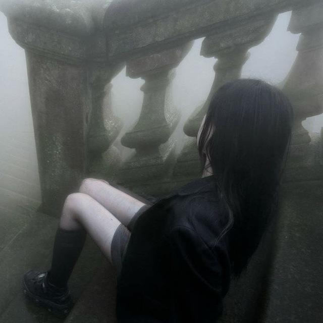 木漏れ日˚. ⋆
