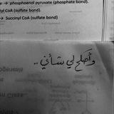 خَريف .