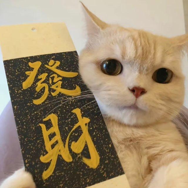 梵音收出粉通知群