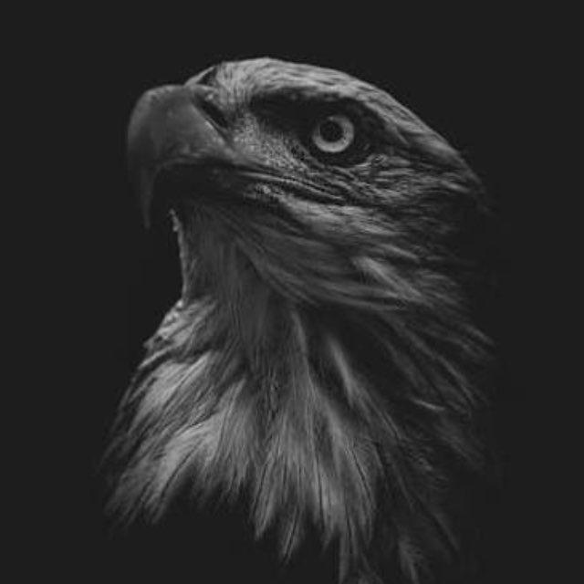 🦅 الـ هـ ـيـبـة🦅