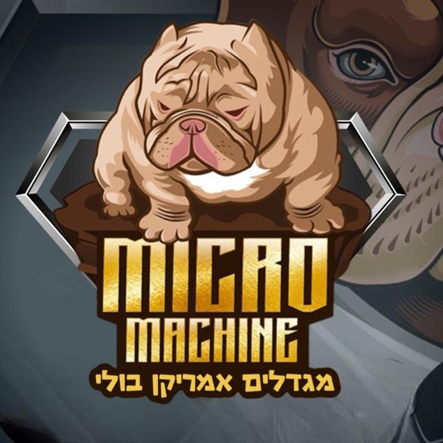 אמריקן בולי American bully micro breeders כלבים