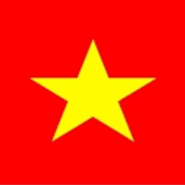Gói dịch thuật｜Tiếng Việt
