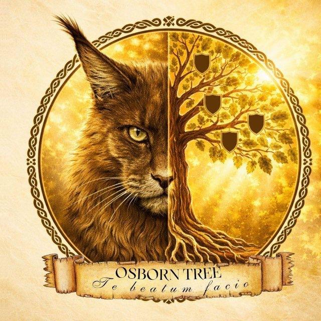 Питомник мейн-кунов “Osborn Tree”/ Maine coon cattery