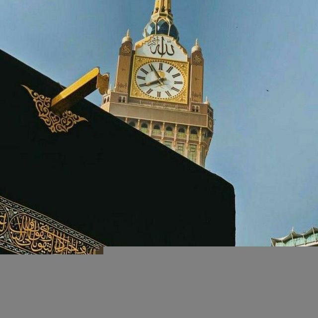 سلاسل علمية📚