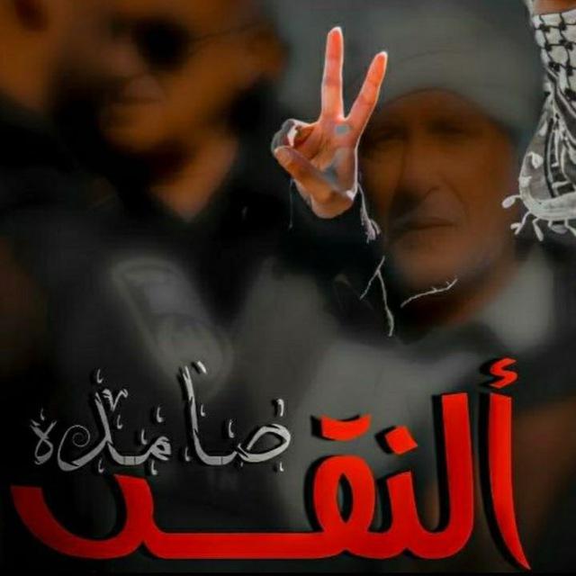 🇵🇸أخبار النقب