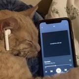 Песни которые ты искал